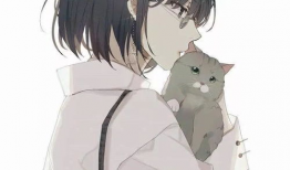 动漫情,穿越时空的青春记忆